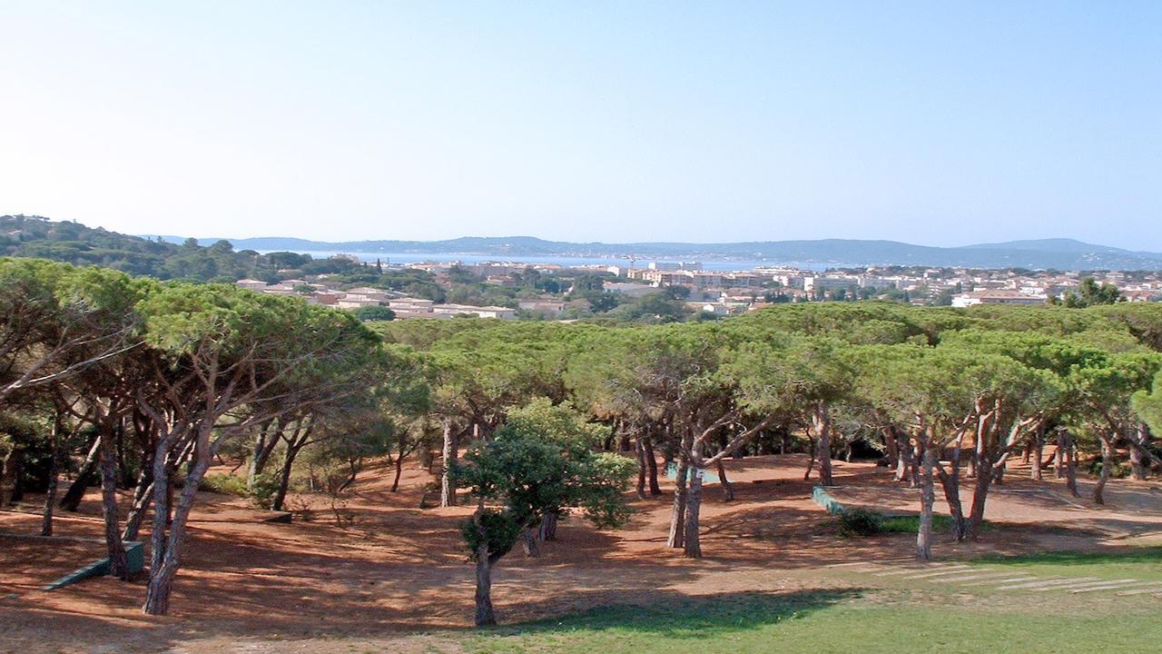 Appartement Les Pins Bleus A8 圣马克西姆 外观 照片