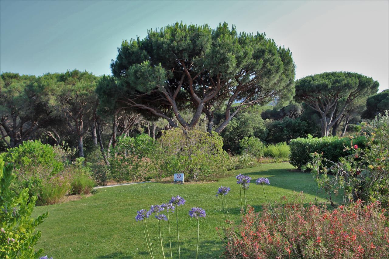Appartement Les Pins Bleus A8 圣马克西姆 外观 照片