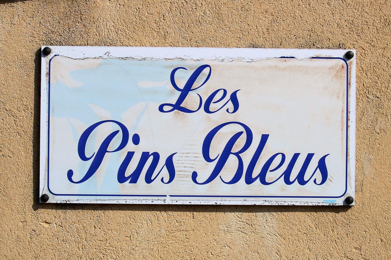 Appartement Les Pins Bleus A8 圣马克西姆 外观 照片
